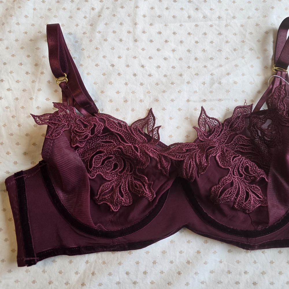 NWT Burgundy Lace Lingerie Set Velvet Trim